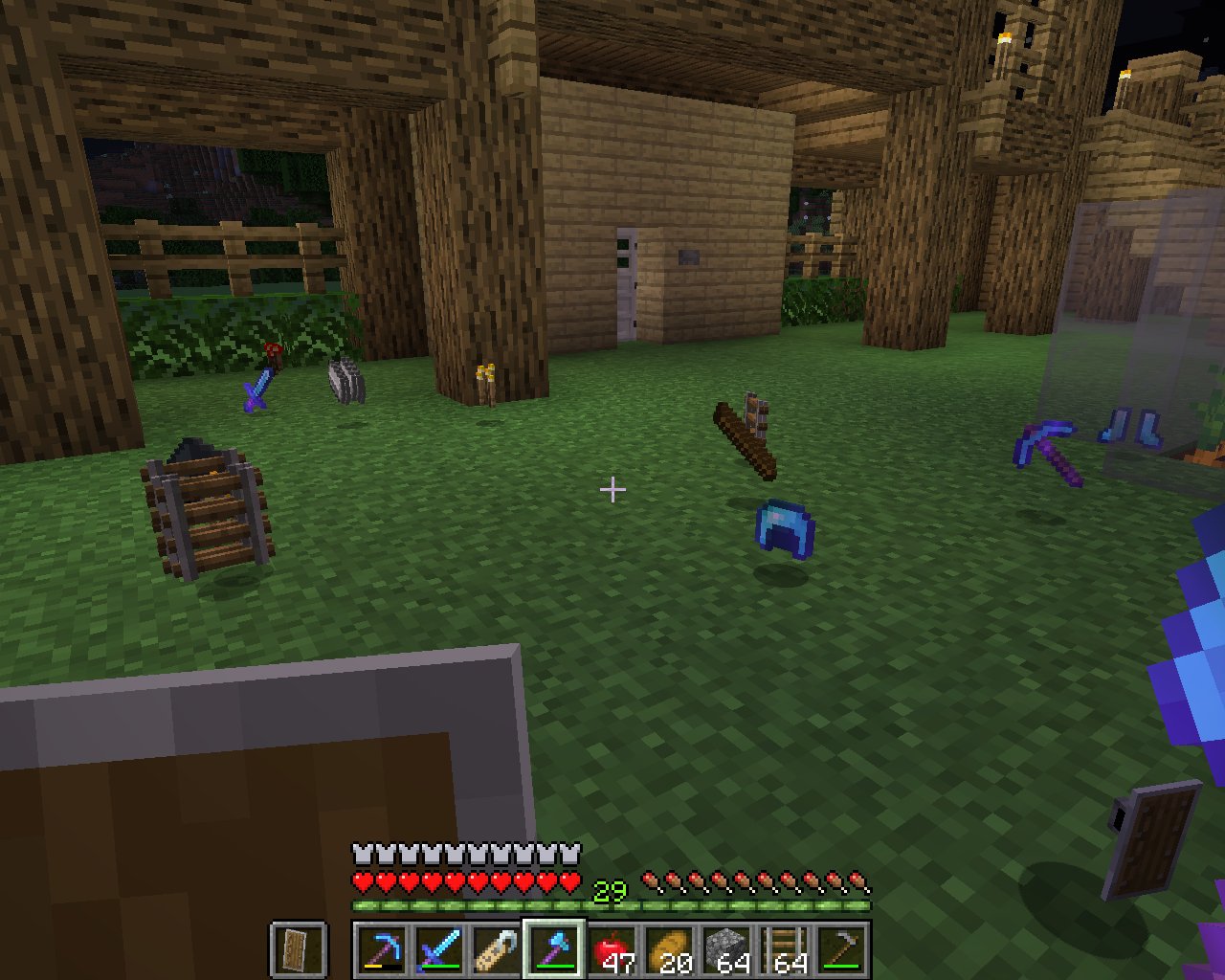 只狼：影逝二度 豪华版 截图20