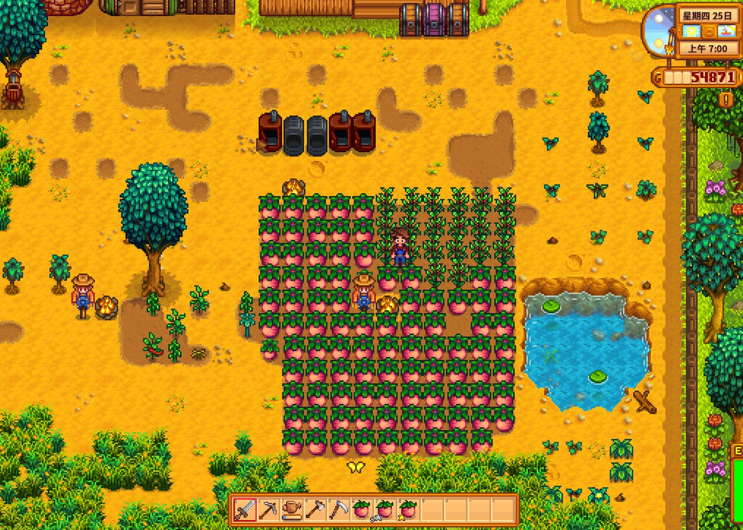 F1 2024 豪华版 截图10