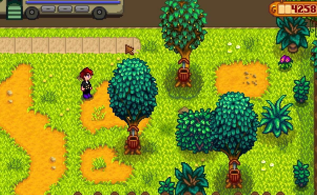 巫师3：狂猎 豪华版 截图2